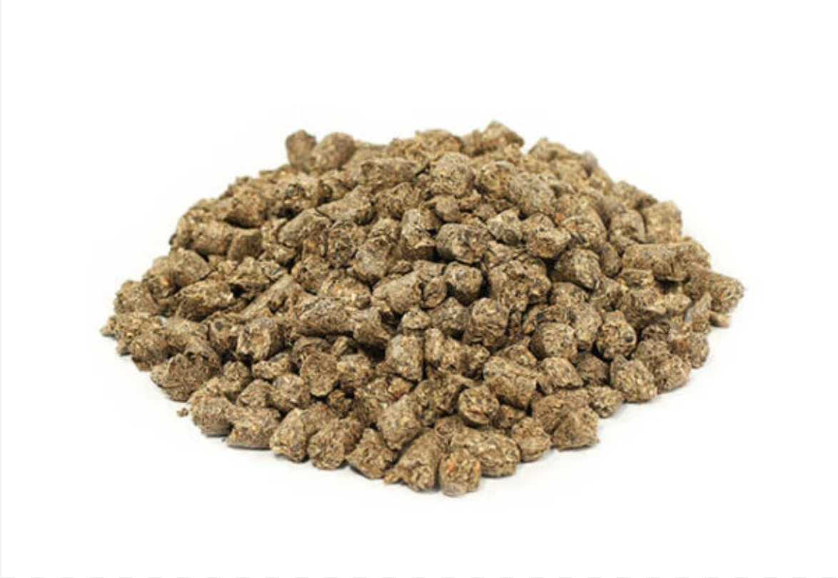 Pellet de Girasol 24% de PB
