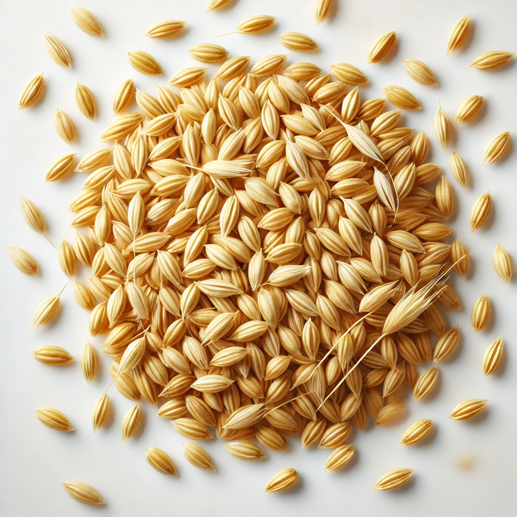 Semilla avena forrajera